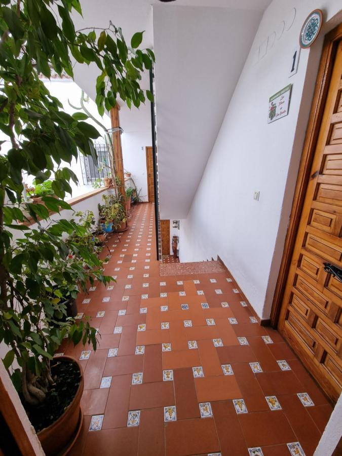 Apartamento Entre Patios San Basilio Daire Cordoba Dış mekan fotoğraf