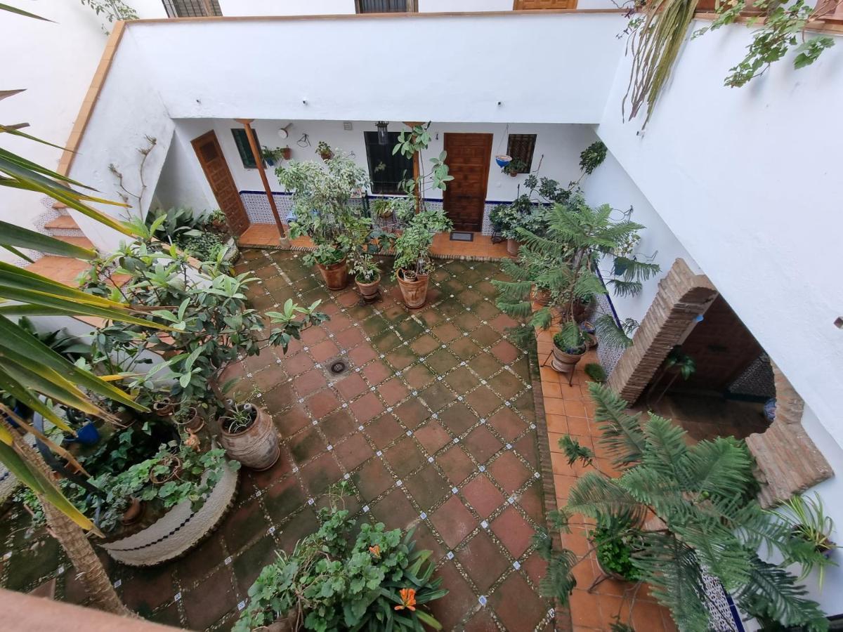Apartamento Entre Patios San Basilio Daire Cordoba Dış mekan fotoğraf