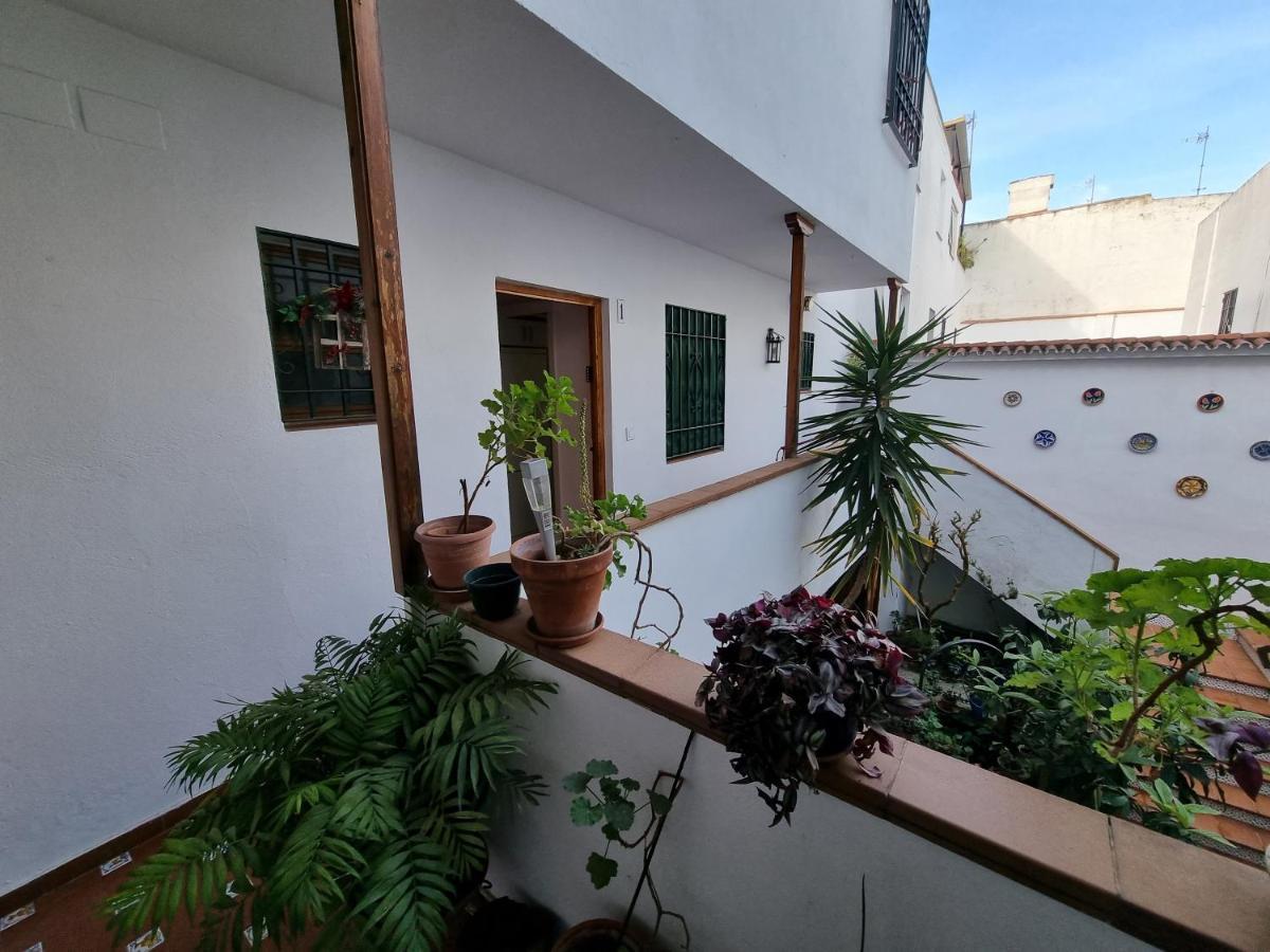 Apartamento Entre Patios San Basilio Daire Cordoba Dış mekan fotoğraf